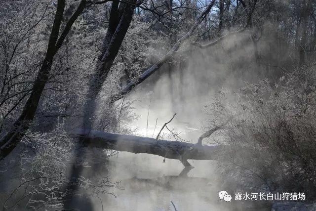 五丁云正品是这样的